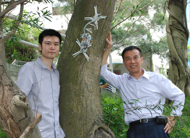 Prof. Xu Yangsheng (right) and Dr. Lam Tin-lun demonstrating Treebot, their new invention which could climb trees of any size and shape in a caterpillar-like motion to carry out a large variety of robotic duties.